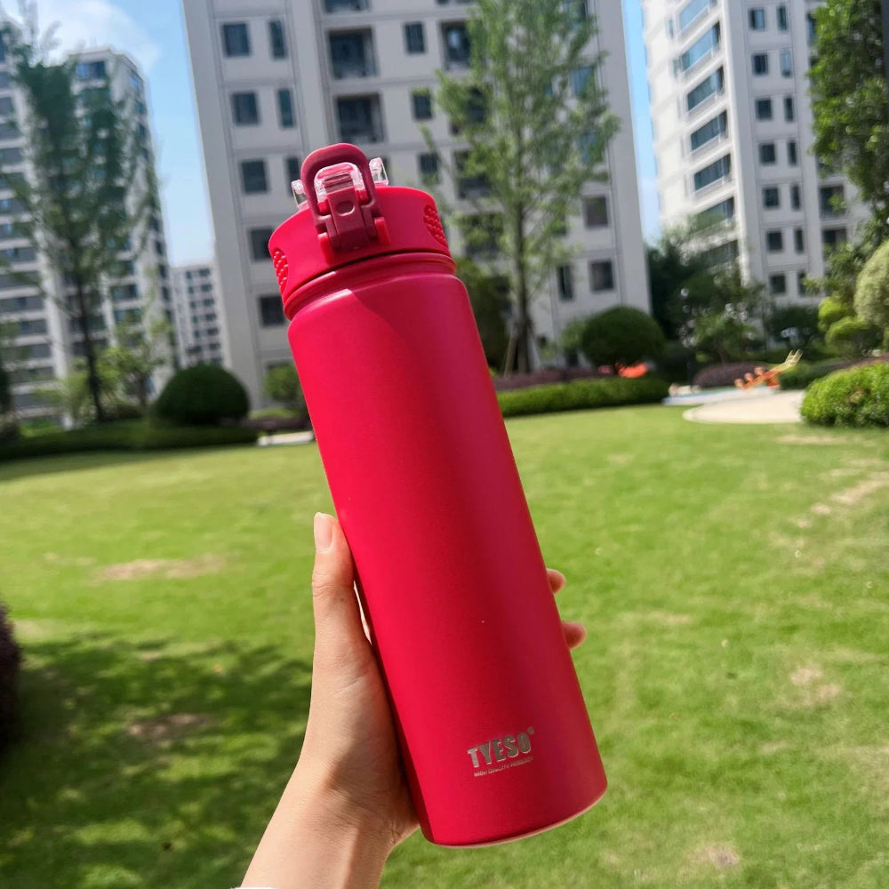 Thermos Stanley Rouge